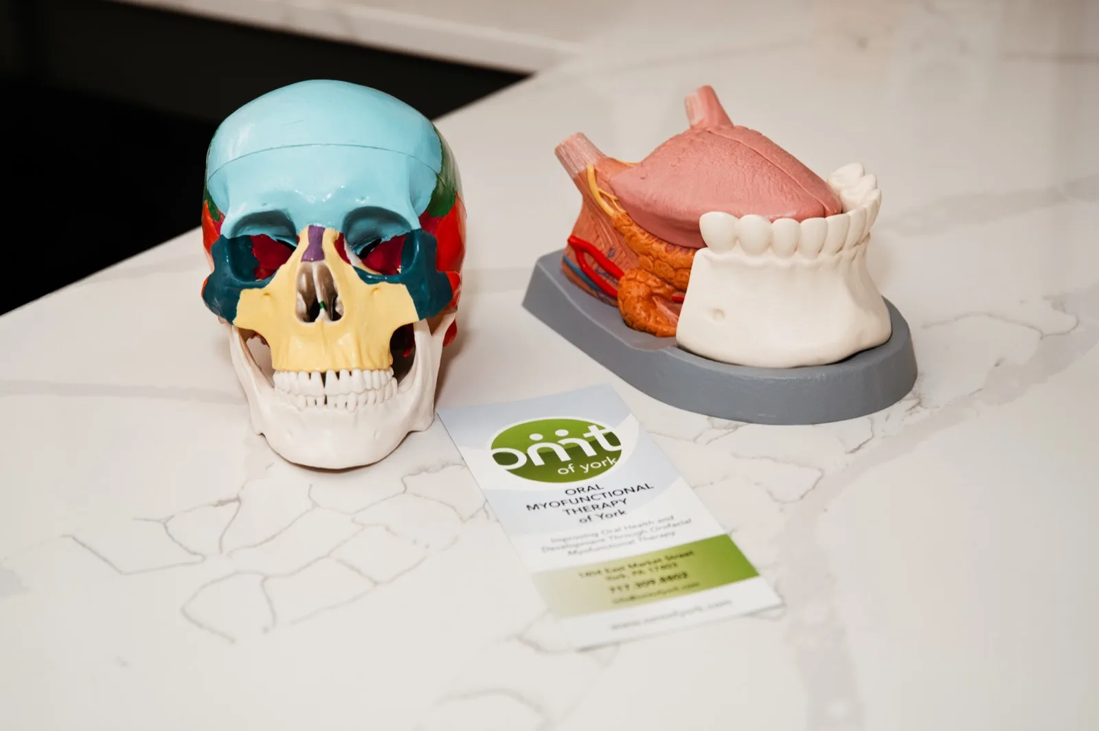 Taking the first step toward myofunctional therapy relief at OMT of York